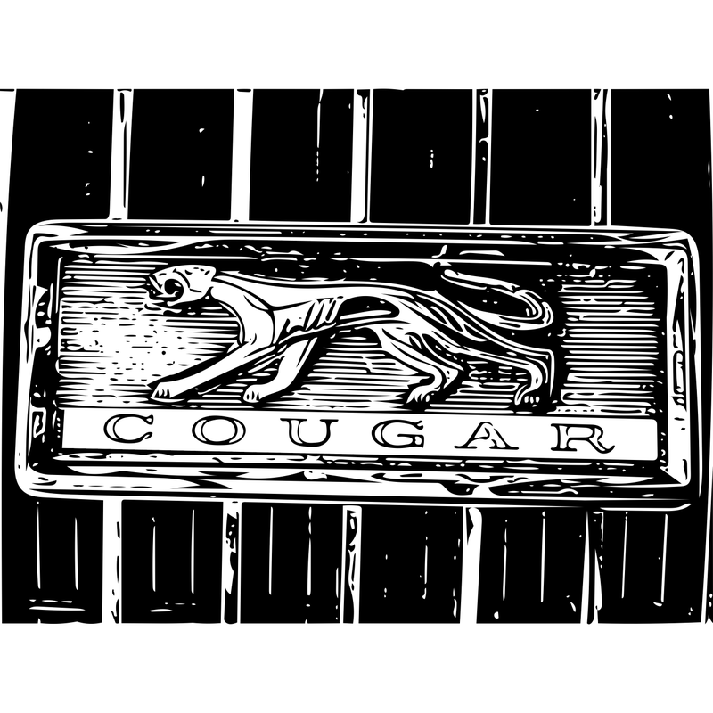 Illustration for article titled Small Cougar Update...it starts again!